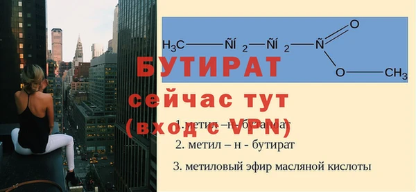 гашик Дмитровск