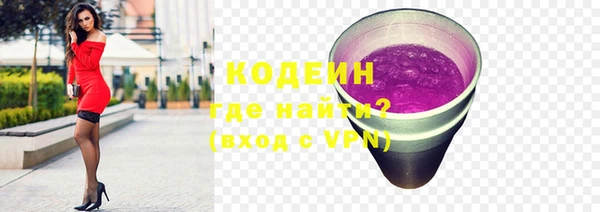 крисы Ельня
