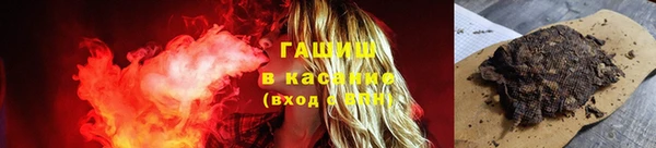 гашик Дмитровск