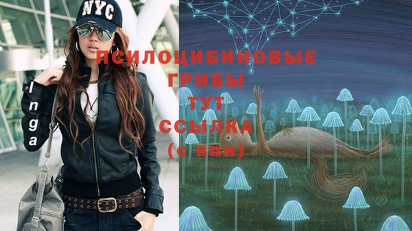 мдпв Дмитриев