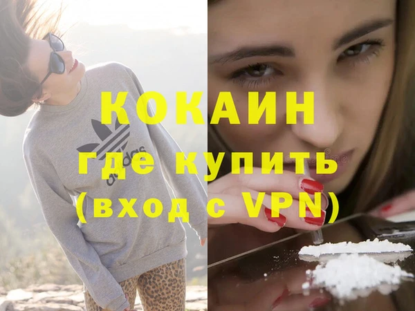 гашик Дмитровск