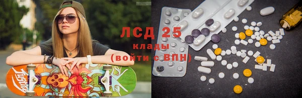 гашик Дмитровск
