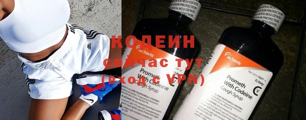гашик Дмитровск